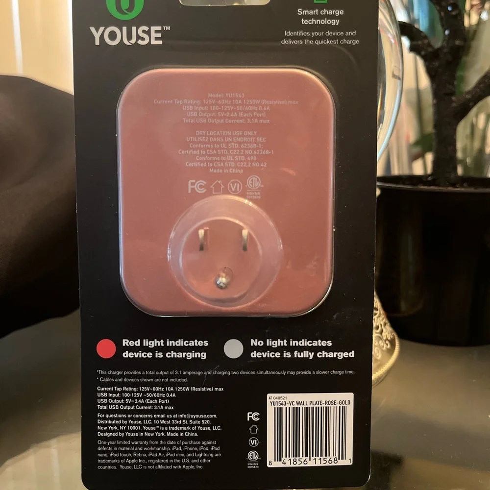 Dual USB Wall plate and phone holder